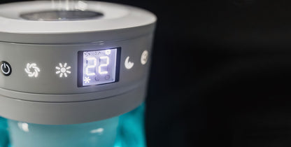 Airvenue ilmanraikastin + Tuoksu-lahjapaketti